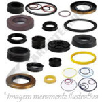 Anéis O’ring